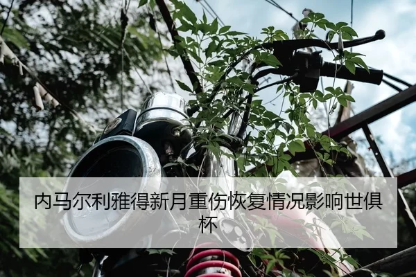 nei-ma-er-li-ya-de-xin-yue-zhong-shang-hui-fu-qing-kuang-ying-xiang-shi-ju-bei-1-702.jpg